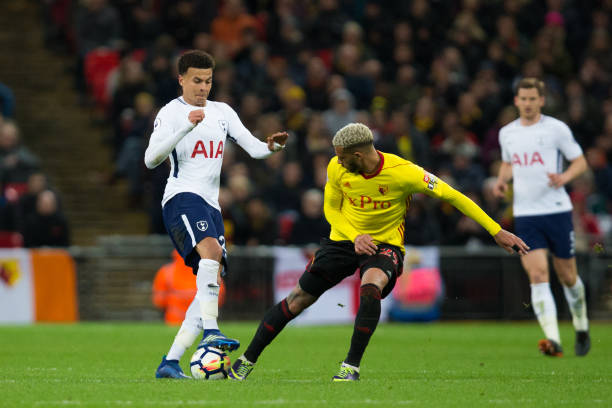 和散步能够 和散步能够